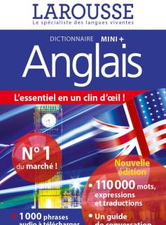 Dictionnaire mini plus anglais